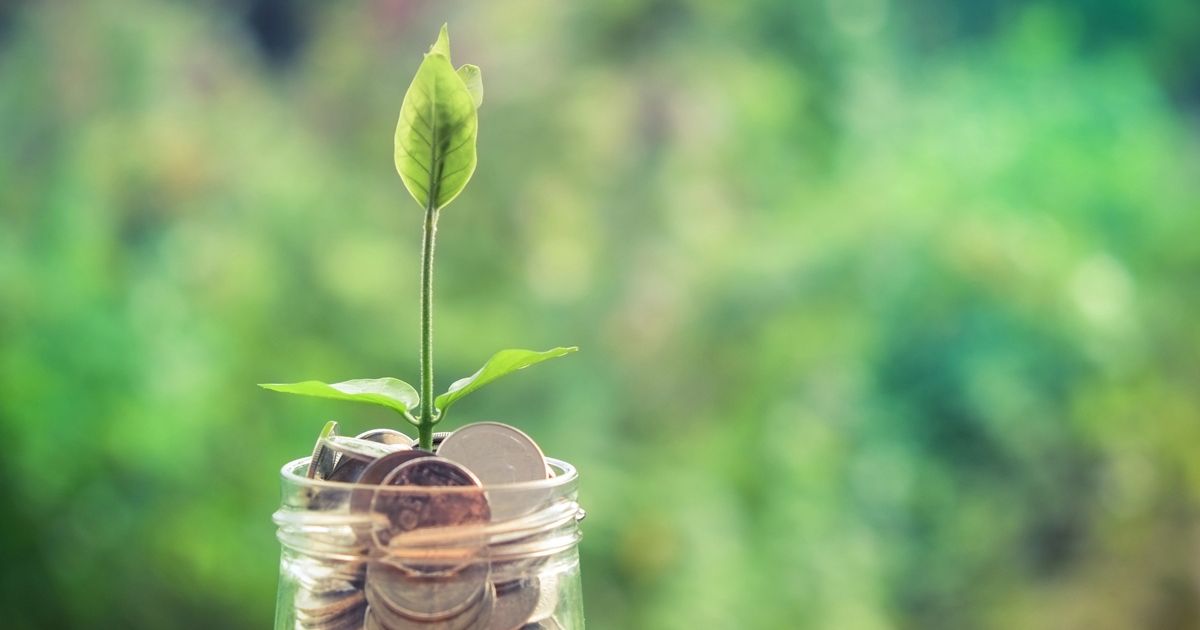 Coins in a glass jar with a young plant growing from the center, symbolizing financial growth and investment.